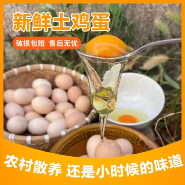 农家散养土鸡蛋新鲜孕妇谷物鸡蛋五谷杂粮喂养现捡，包邮