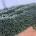 黄瓜
