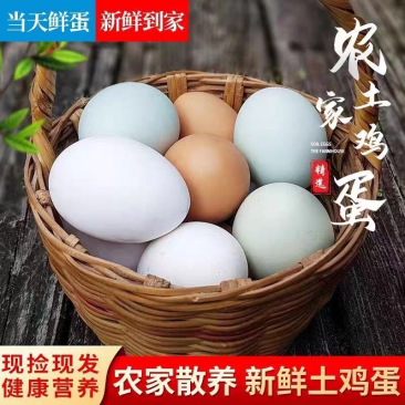新鲜土鸡蛋散养鸡蛋孕妈滋补老人小孩营养蛋兵哥鸡蛋,包邮