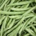高山四季豆现摘现发高山种植一手货源