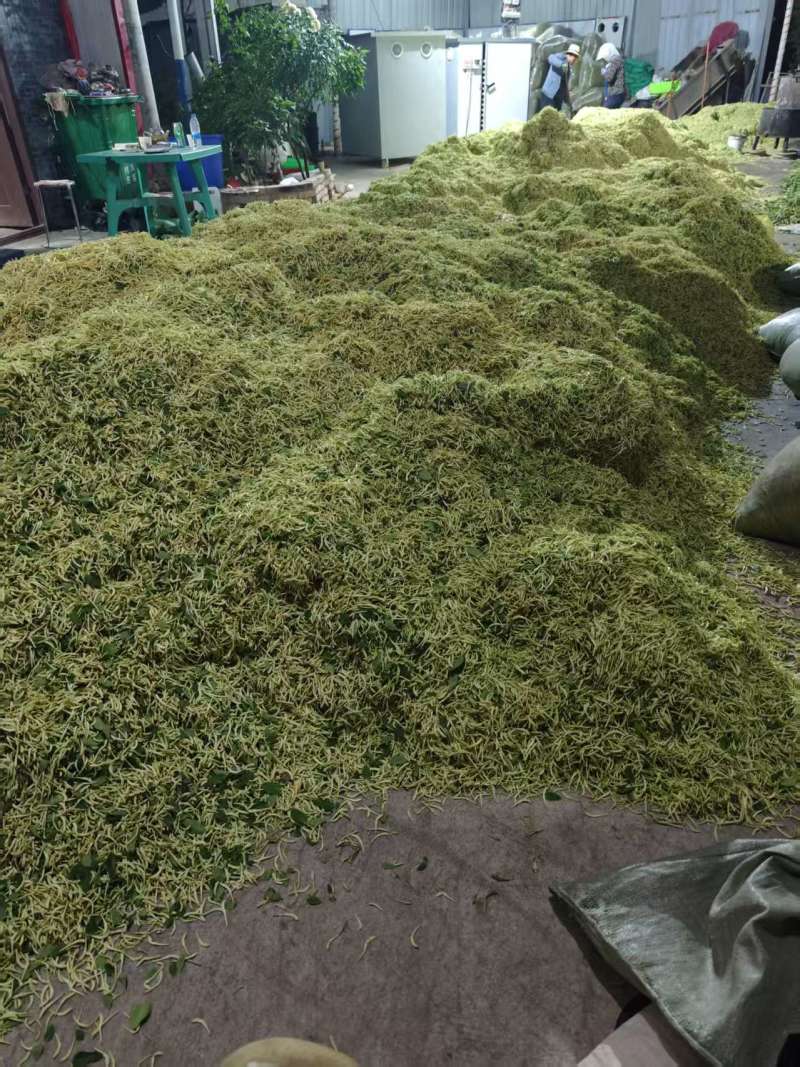 甘肃产地直供，可对接药店。药厂。品质可选，价格实惠！
