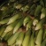 【荐】精品白玉米鲜玉米棒子糯玉米对接全国电商市场