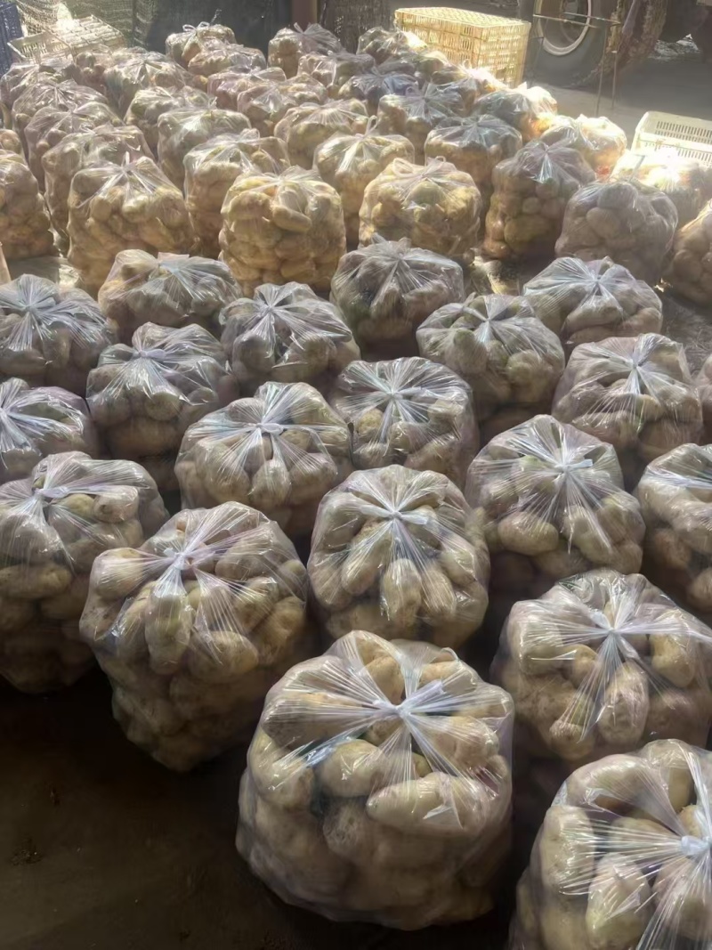 黄皮黄心土豆山东聊城全国发货可视频看货山东万亩果蔬