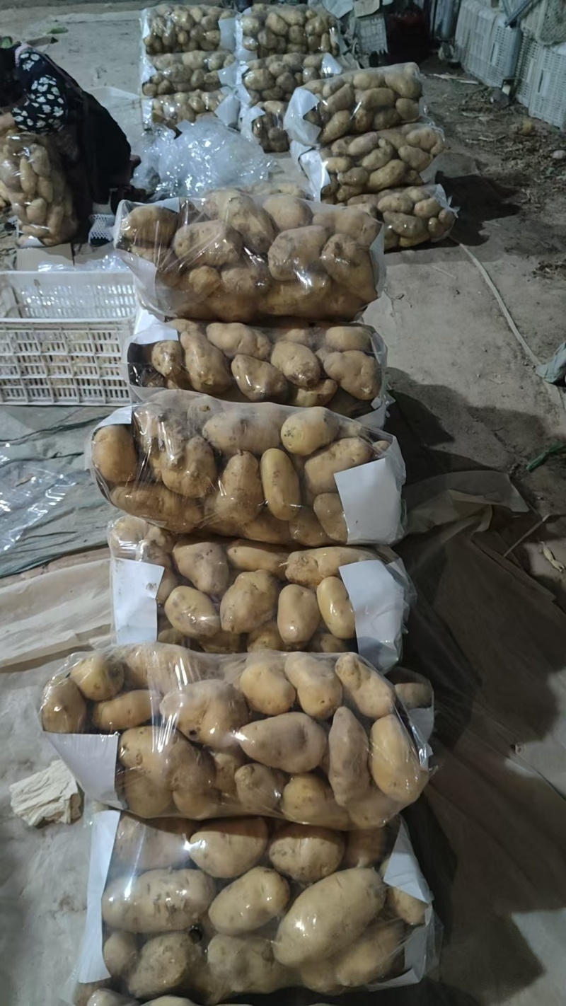 黄皮黄心土豆山东聊城全国发货可视频看货山东万亩果蔬