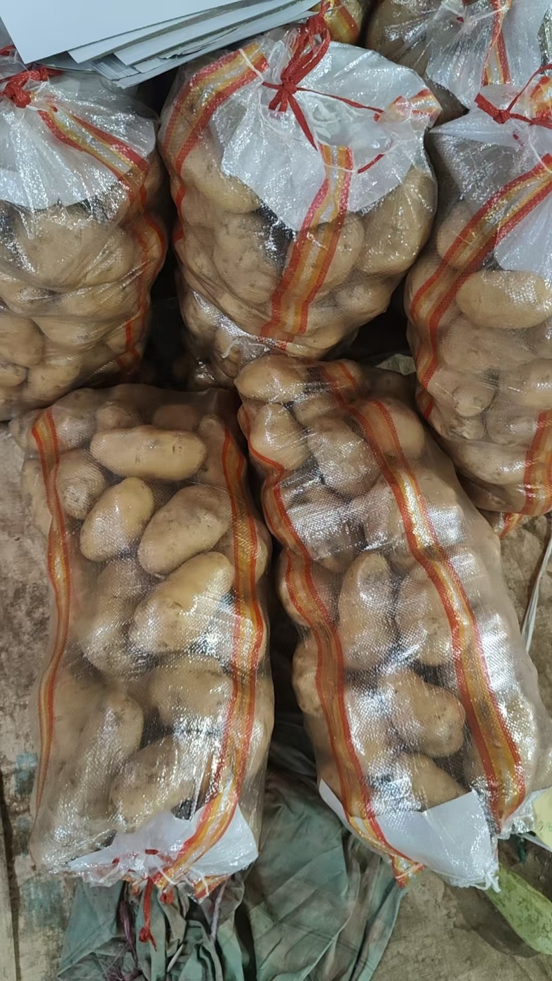 黄皮黄心土豆山东聊城全国发货可视频看货山东万亩果蔬