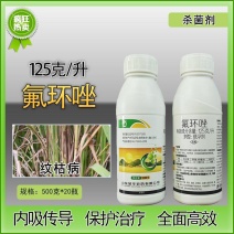 125克/升氟环唑水稻纹枯病保护治疗内吸传导