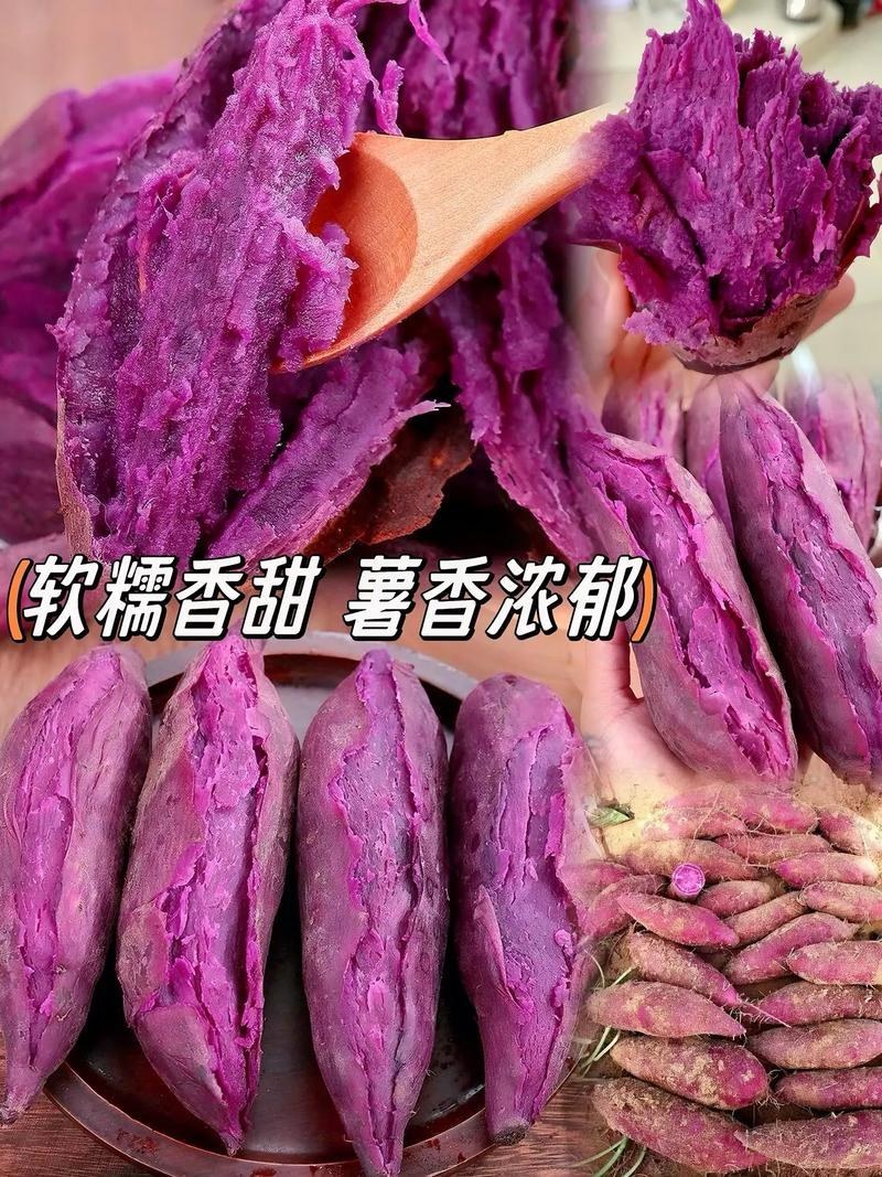 紫薯