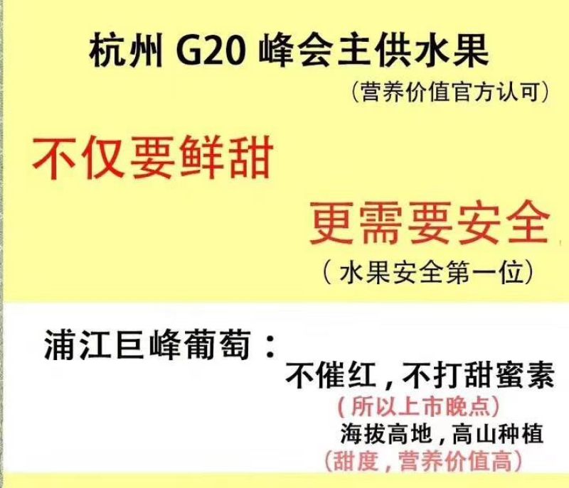 浦江巨峰葡萄种植户，一专业代办，产地直发，品质保障。