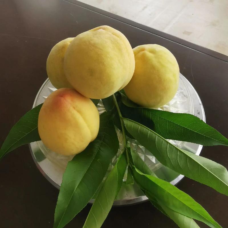 黄金蜜3号，口感甜脆，产地直发。