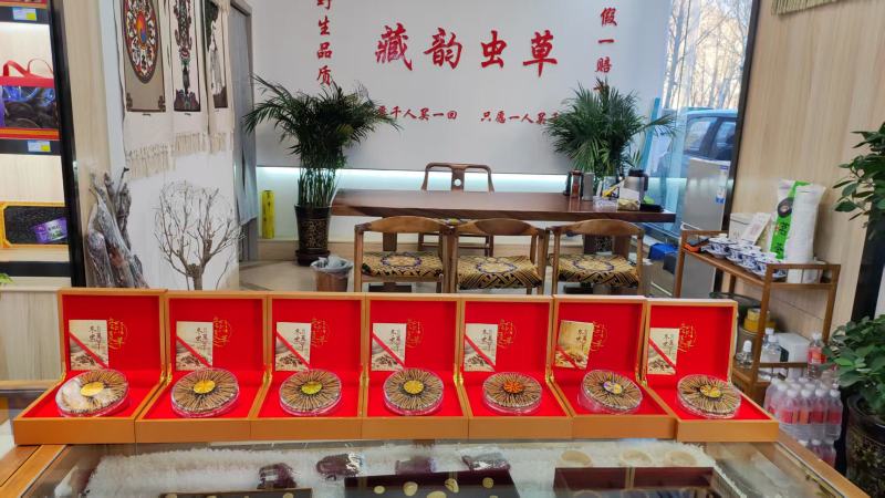 野生冬虫夏草，产地直发，大量上市，品质保证，服务周到