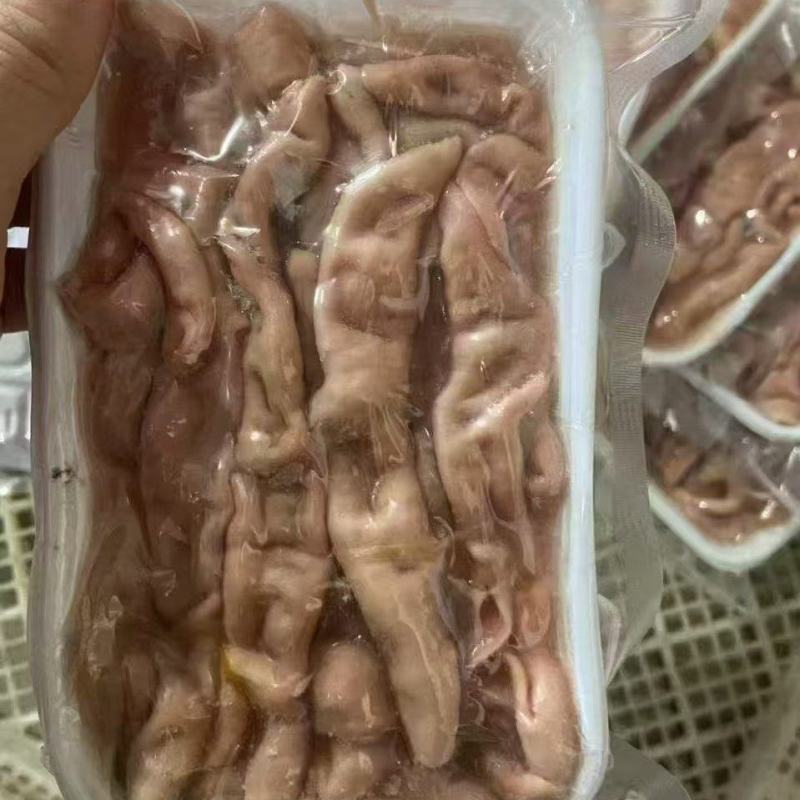海肠口感脆嫩