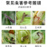 12%甲维虫螨腈杀虫剂小菜蛾桃小食心虫玉米螟杀虫广谱正品