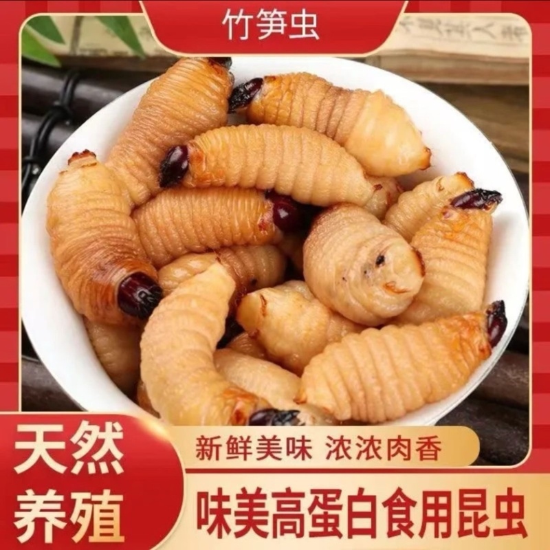 竹虫天然养殖，产地直发一手货源，欢迎看货