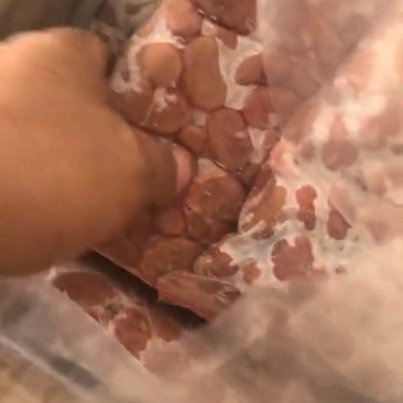 兔腰子