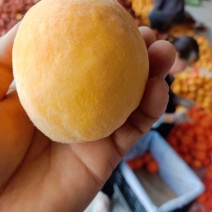 脆甜纸代黄毛桃