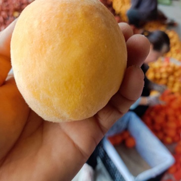 脆甜纸代黄毛桃