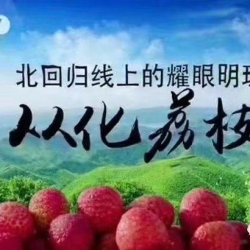 自家果园现摘现发，专业冷链保鲜，一件代发[]全国发货
