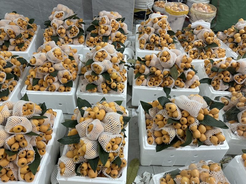 精品枇杷云南枇杷货源充足产地直发质量保证诚信经营