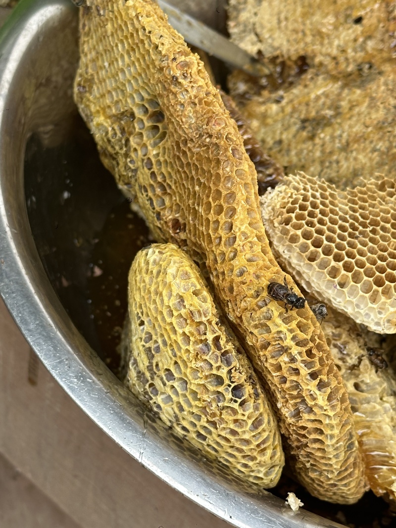 土蜂蜜