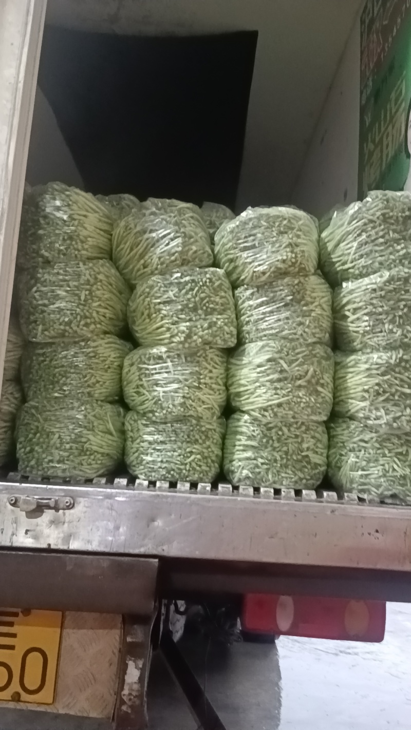 【热卖推荐】湖北天门四季豆产地直发一手货源视频看货