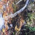 云南昆明市富民县养生房屋出租出售宜：养老农家乐、种植养殖