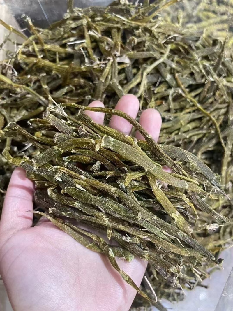 珍虫石斛高原真虫干条胶质好量大优惠