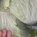 【热卖推荐】湖北天门京丰平包一手货源产地直发