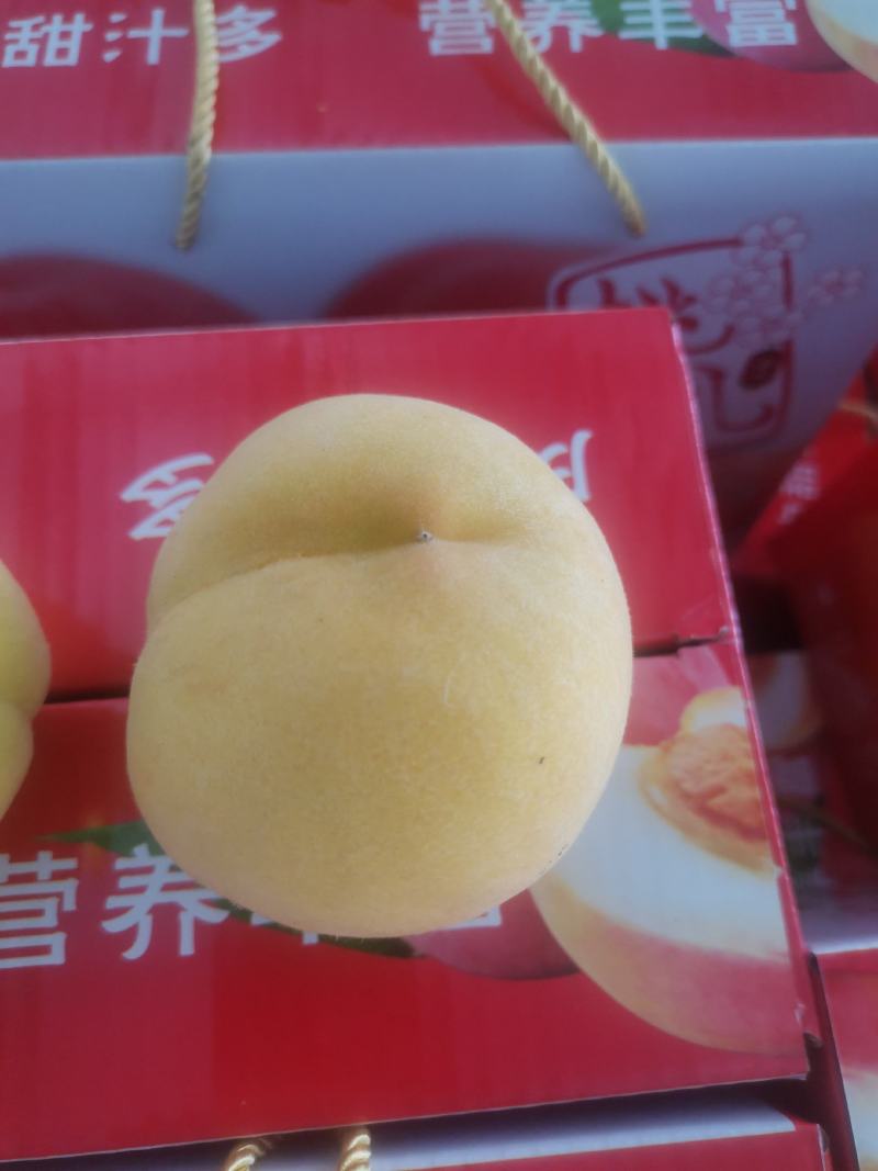 黄金凤，甜黄桃，套袋的huang桃