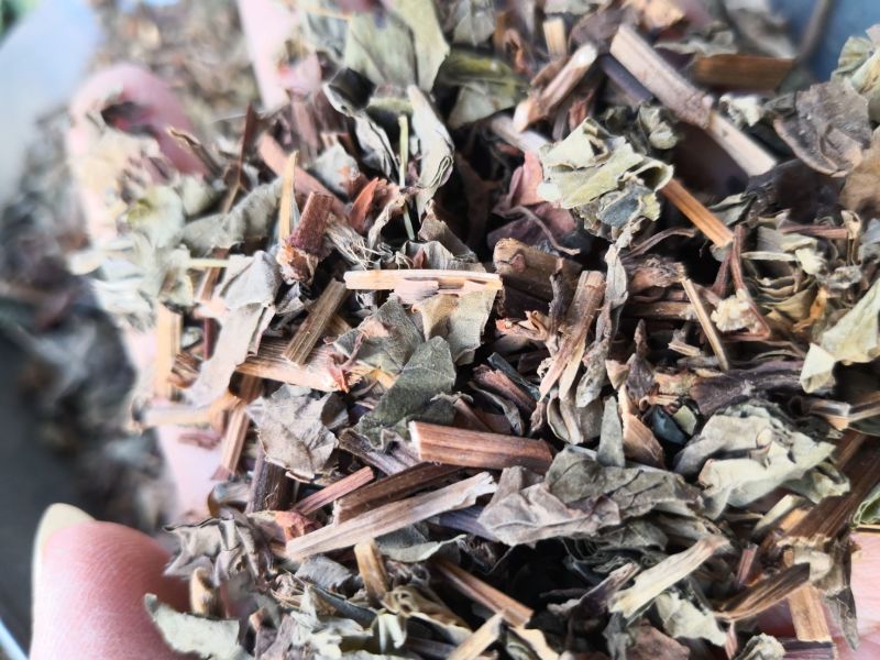 鱼腥草草药干货量大优惠