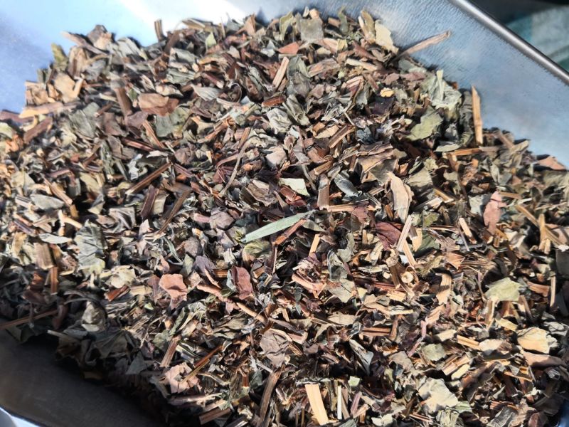 鱼腥草草药干货量大优惠