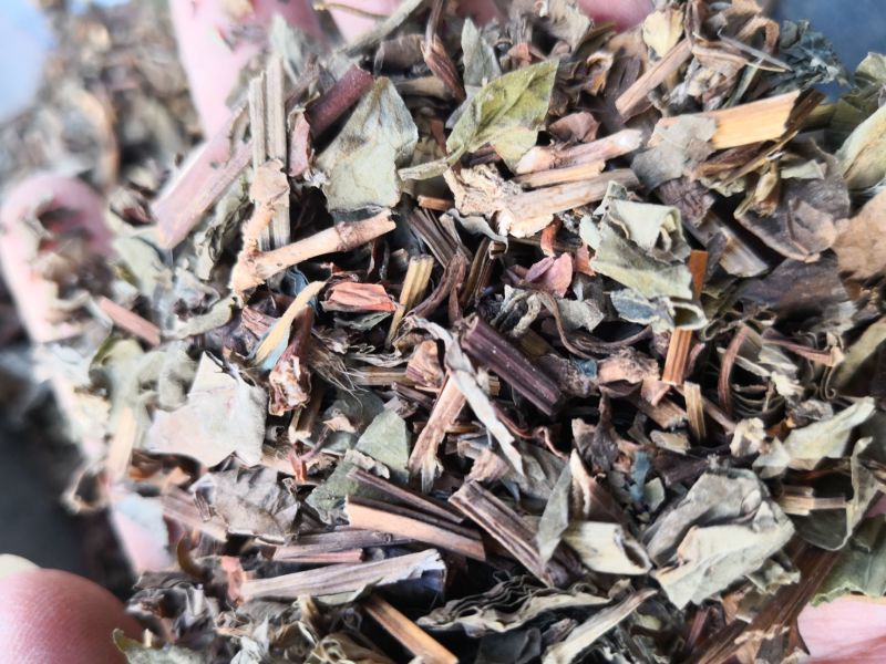 鱼腥草草药干货量大优惠