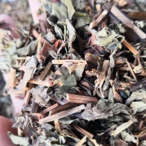 鱼腥草草药干货量大优惠