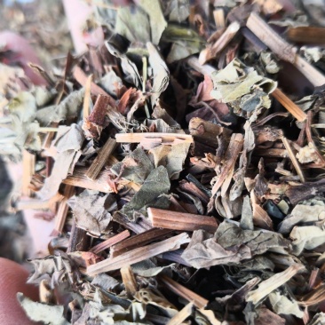 鱼腥草草药干货量大优惠