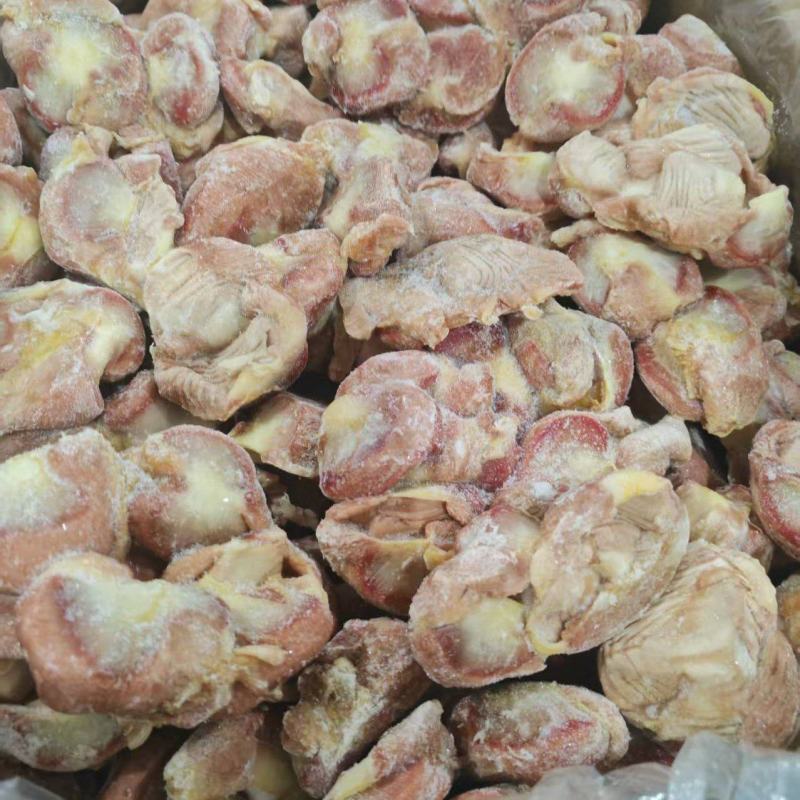 鸡胗肉鸡胗蛋鸡胗都长期有货质量好可以视频看货