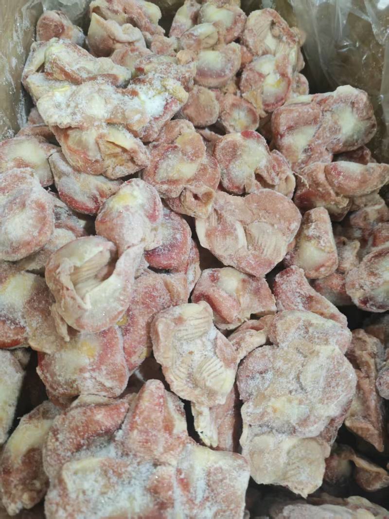 鸡胗肉鸡胗蛋鸡胗都长期有货质量好可以视频看货