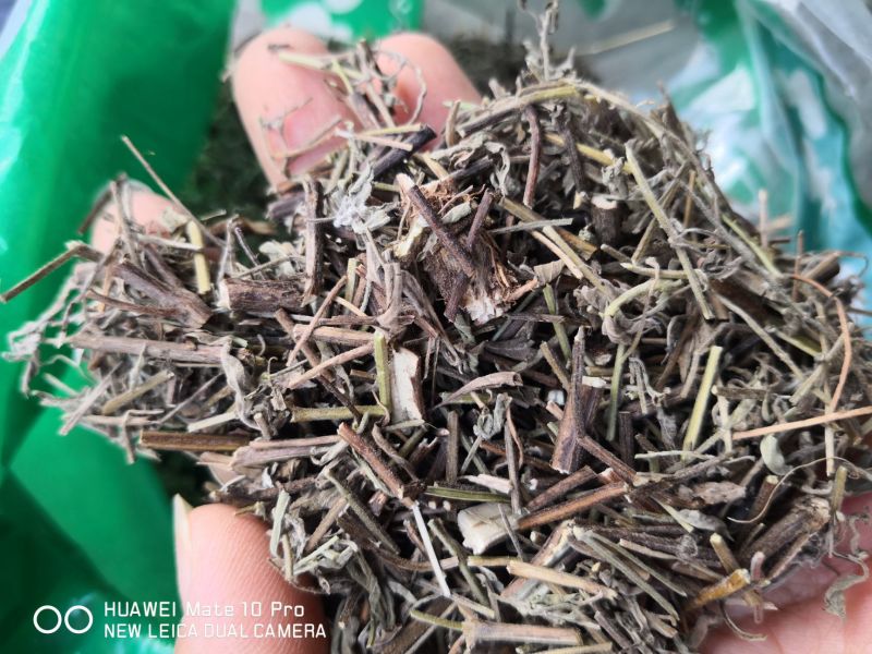 香薷冷背中药材2斤起包邮量大优惠