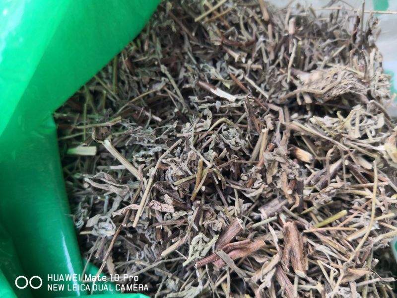 香薷冷背中药材2斤起包邮量大优惠