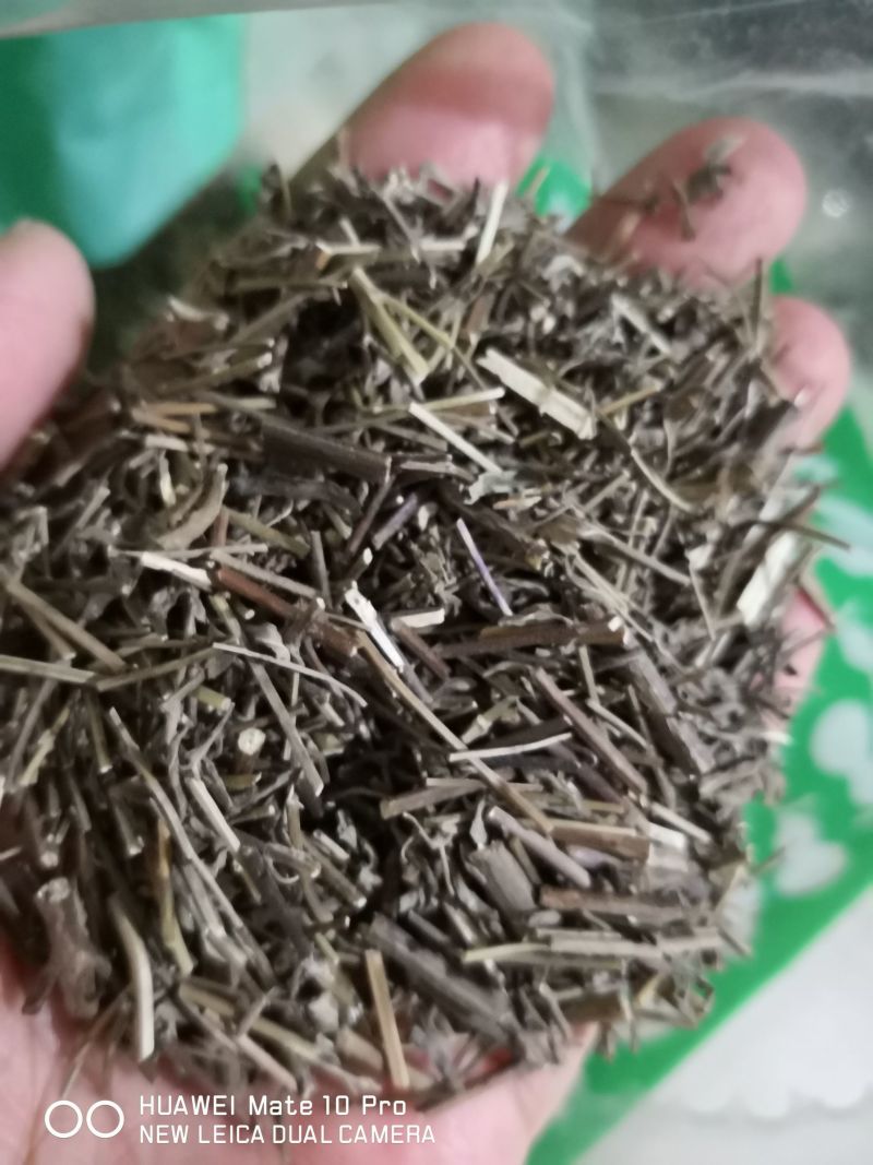 香薷冷背中药材2斤起包邮量大优惠