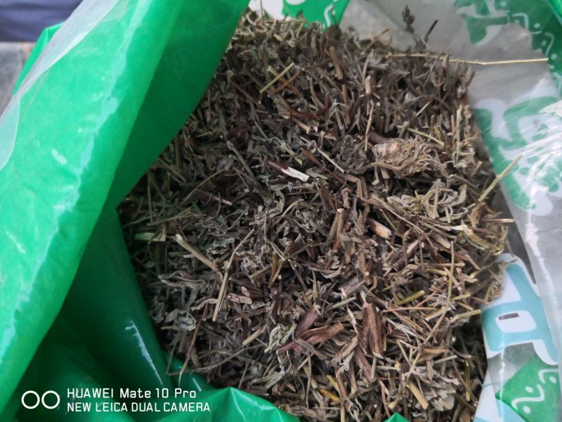 香薷冷背中药材2斤起包邮量大优惠