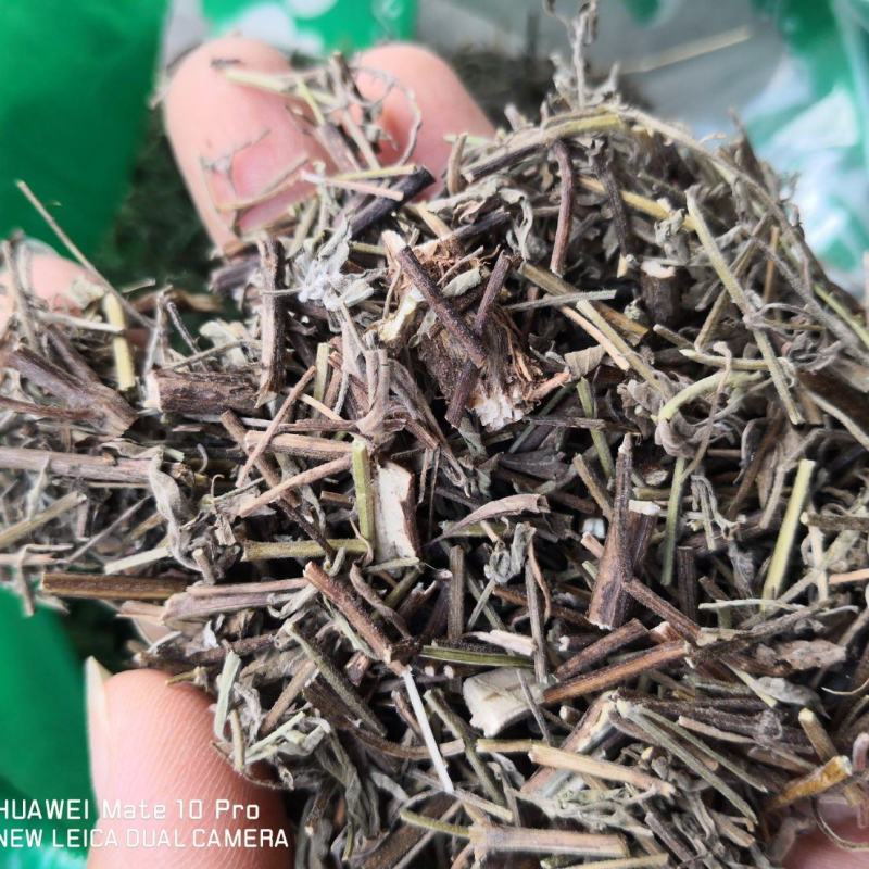 香薷冷背中药材2斤起包邮量大优惠
