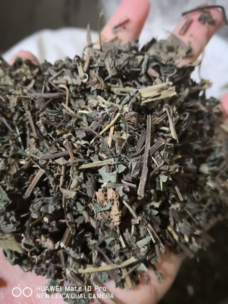 绞股蓝草药地道苦味绞股蓝2斤包邮量大优惠
