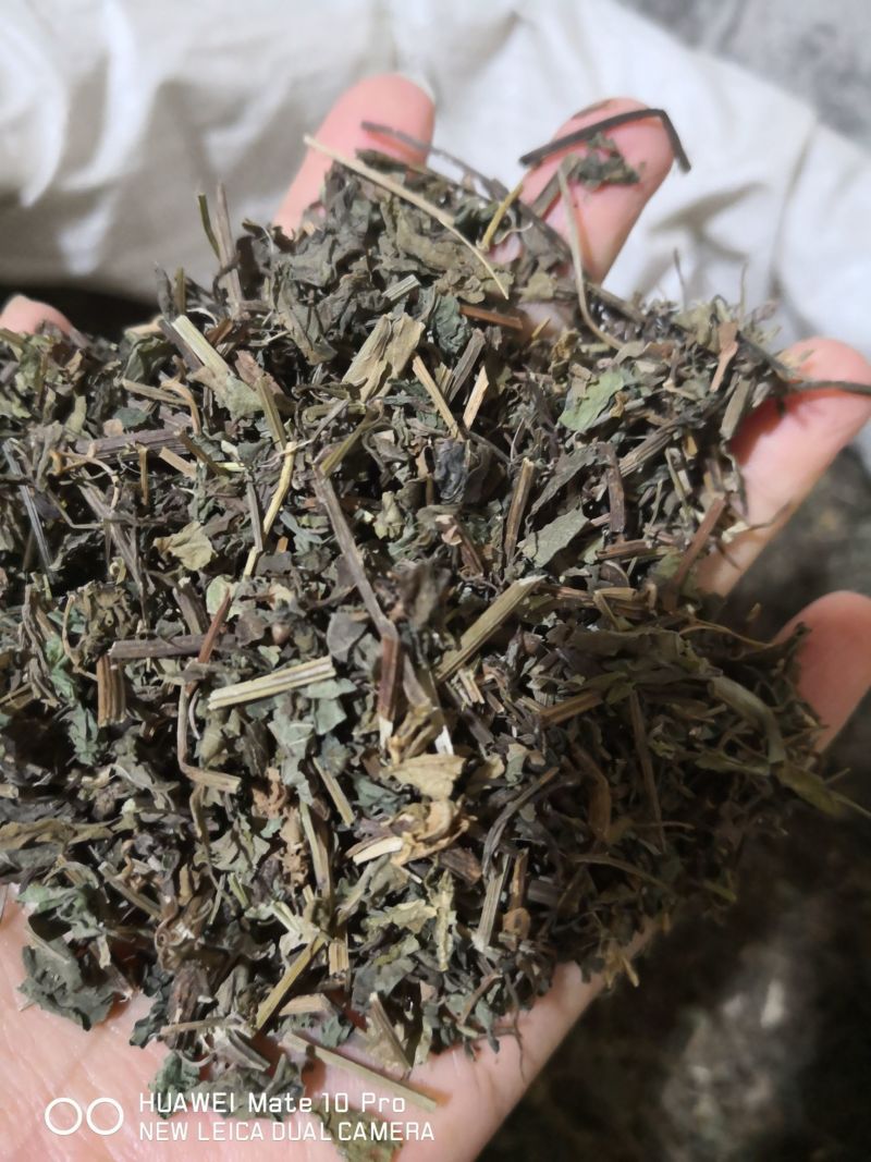 绞股蓝草药地道苦味绞股蓝2斤包邮量大优惠
