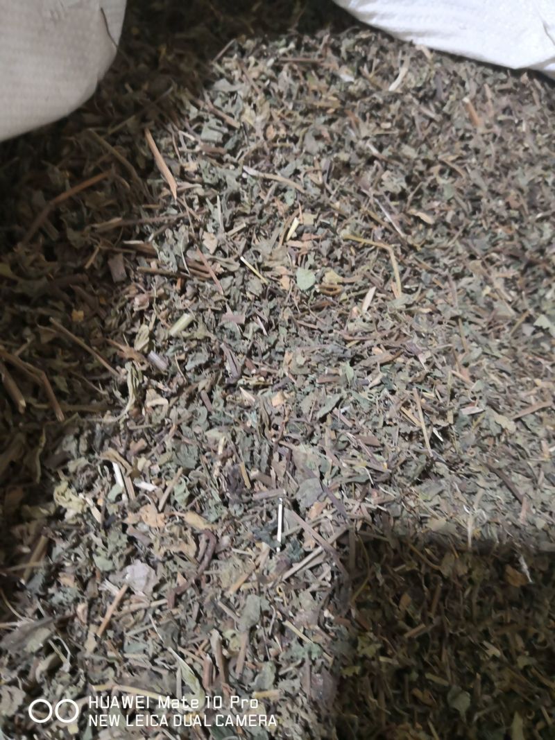 绞股蓝草药地道苦味绞股蓝2斤包邮量大优惠