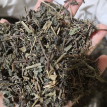 绞股蓝草药地道苦味绞股蓝2斤包邮量大优惠