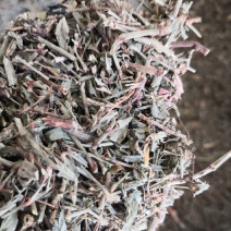 萹蓄草药2斤起包邮量大优惠
