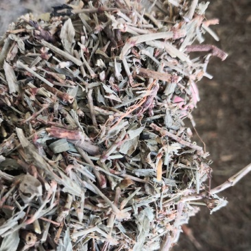 萹蓄草药2斤起包邮量大优惠