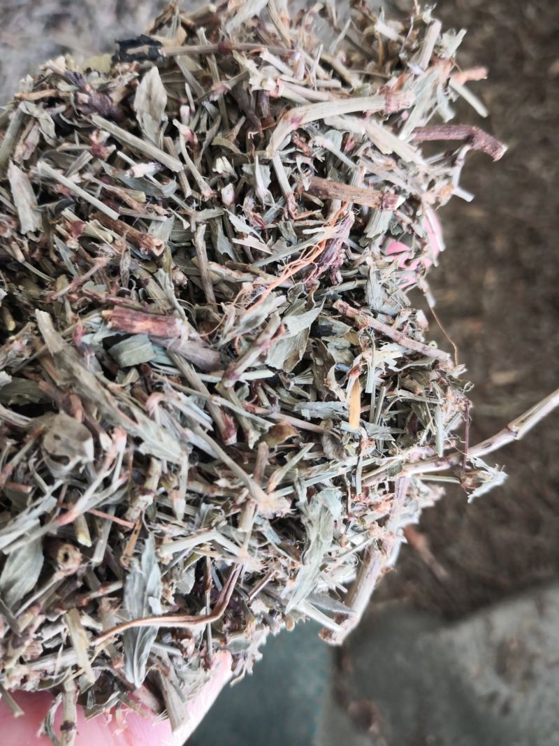 萹蓄草药2斤起包邮量大优惠