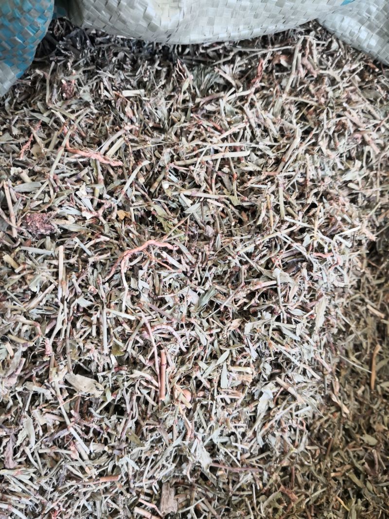 萹蓄草药2斤起包邮量大优惠