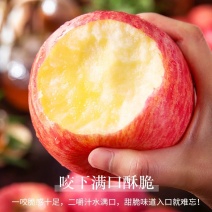 精品山东红富士苹果，脆甜可口，多汁，量大质优，电商市场