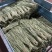 精品豆角，豆角绿色食品，无农药无公害